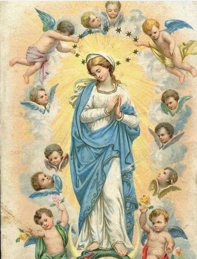 Angelicirco