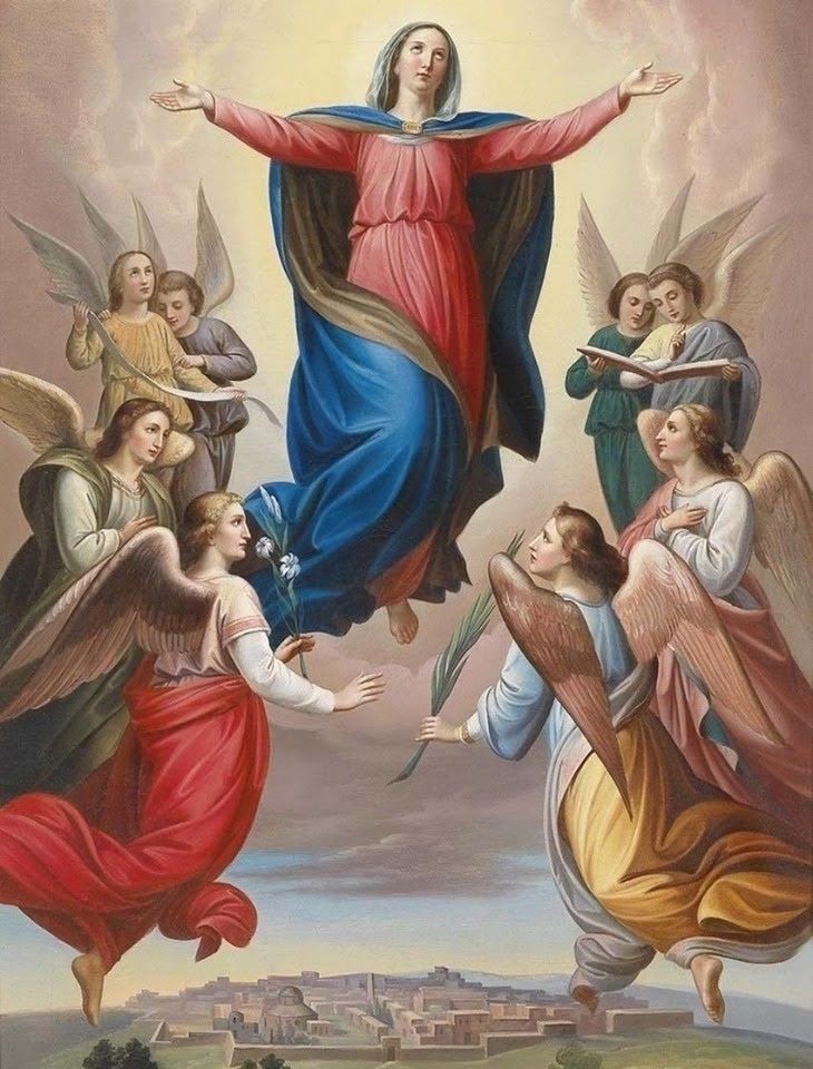 Assunviomsa
