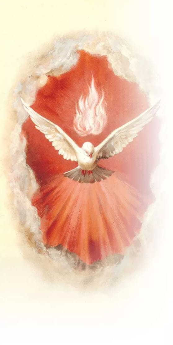 Spiritobelli