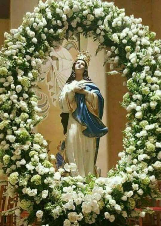 Immacolataro