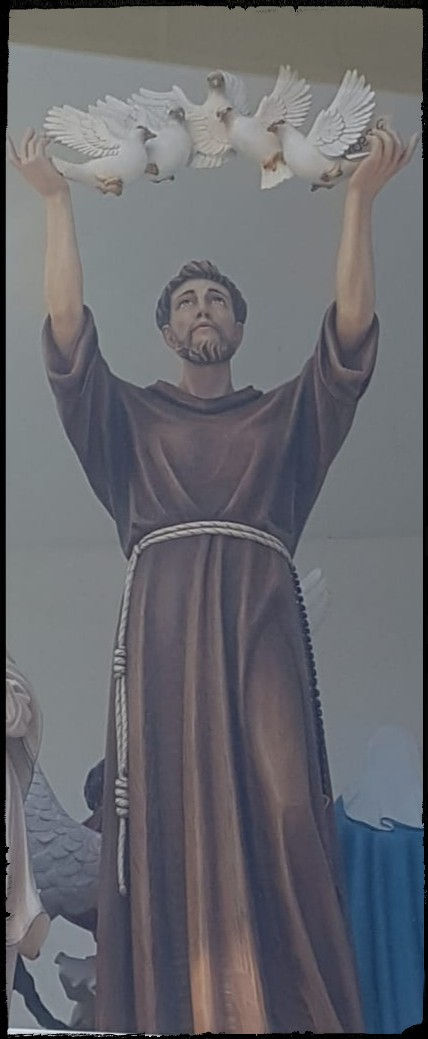 Franciscu3