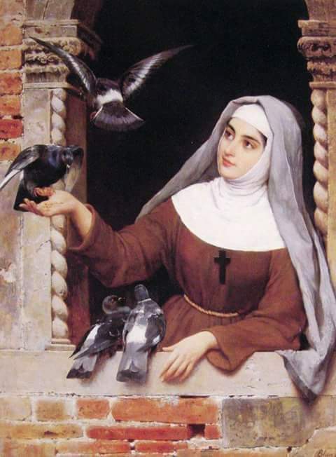 Colombe1