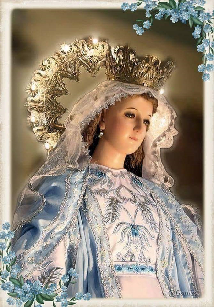 Albellaissa