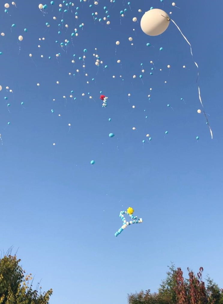 IMG 20191014 WA0024